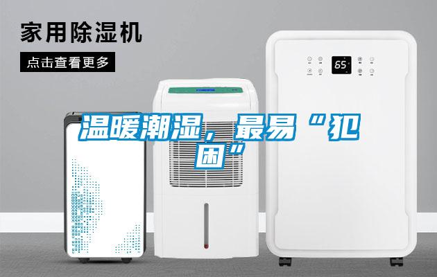 溫暖潮濕，最易“犯困”