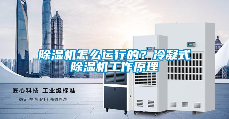 除濕機怎么運行的？冷凝式除濕機工作原理