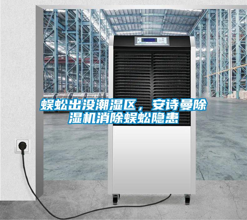 蜈蚣出沒潮濕區，安詩曼除濕機消除蜈蚣隱患