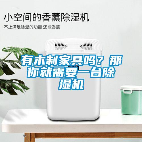 有木制家具嗎?那你就需要一臺除濕機