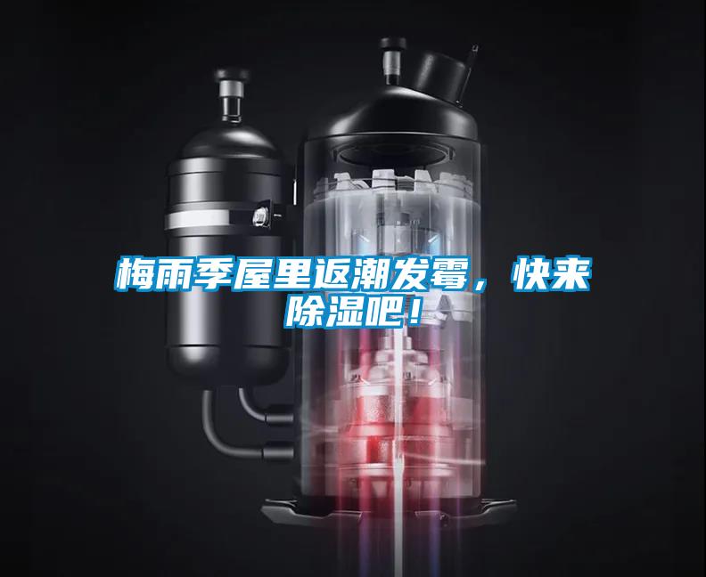 梅雨季屋里返潮發霉,快來除濕吧!