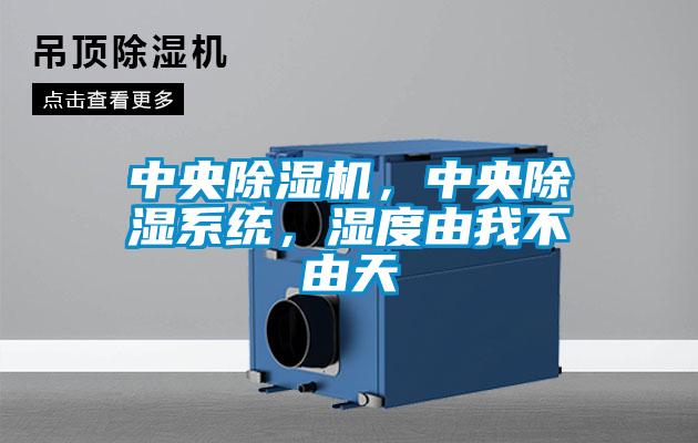中央除濕機，中央除濕系統，濕度由我不由天