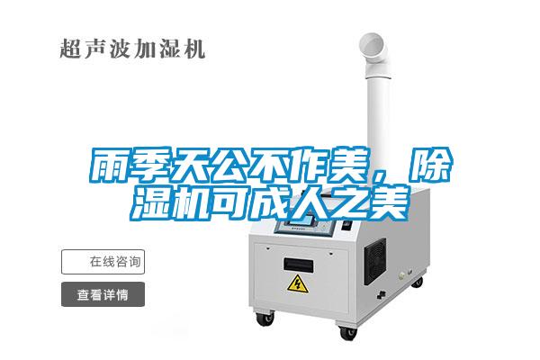 雨季天公不作美,除濕機可成人之美