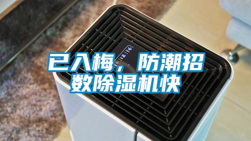 已入梅,防潮招數(shù)除濕機(jī)快