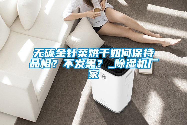 無硫金針菜烘干如何保持品相?不發黑?_除濕機廠家