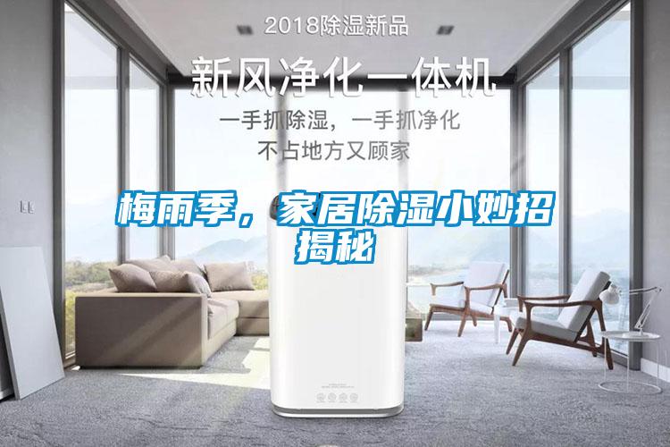 梅雨季,家居除濕小妙招揭秘