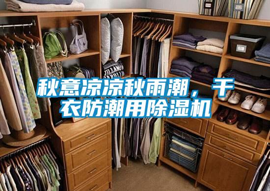 秋意涼涼秋雨潮，干衣防潮用除濕機