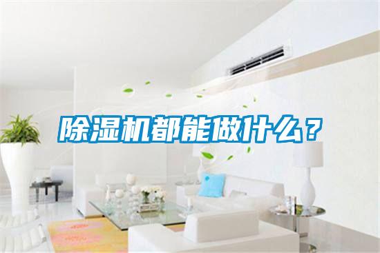 除濕機(jī)都能做什么?