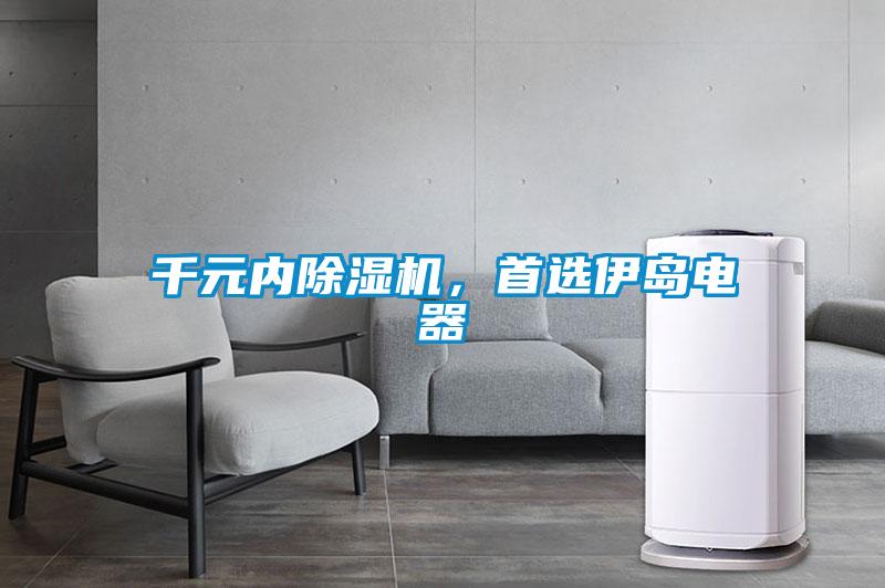 千元內(nèi)除濕機(jī),首選伊島電器