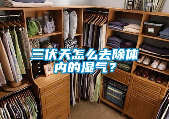 三伏天怎么去除體內的濕氣？