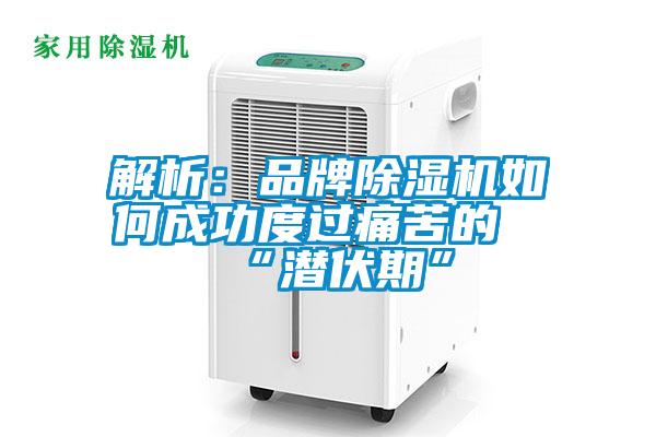 解析:品牌除濕機如何成功度過痛苦的“潛伏期”