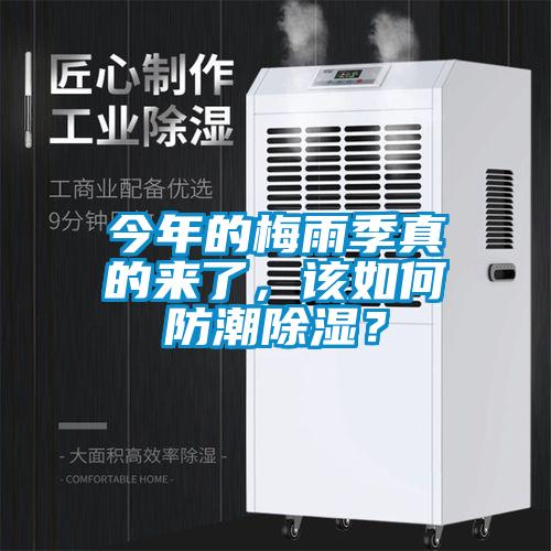 今年的梅雨季真的來了,該如何防潮除濕?