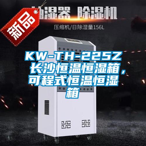 KW-TH-225Z 長沙恒溫恒濕箱，可程式恒溫恒濕箱