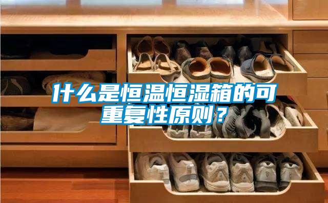 什么是恒溫恒濕箱的可重復性原則？