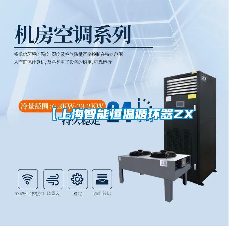 【上海智能恒溫循環器ZX