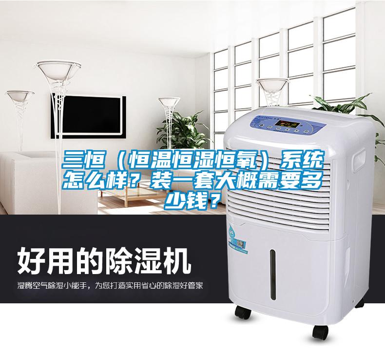 三恒（恒溫恒濕恒氧）系統(tǒng)怎么樣？裝一套大概需要多少錢(qián)？