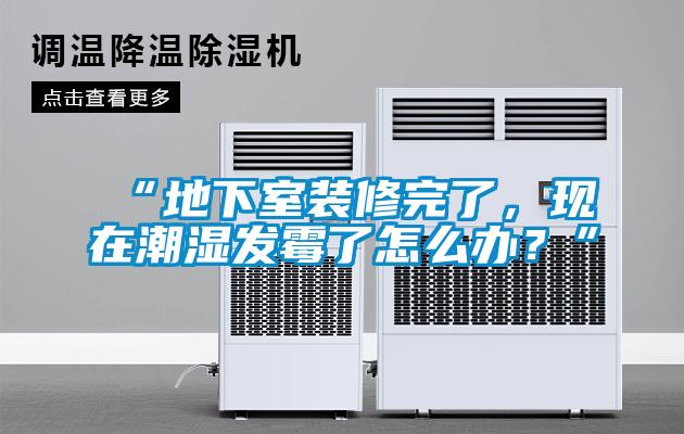 “地下室裝修完了，現在潮濕發霉了怎么辦？”