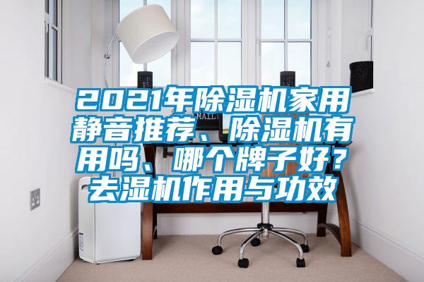 2021年除濕機家用靜音推薦、除濕機有用嗎、哪個牌子好？去濕機作用與功效