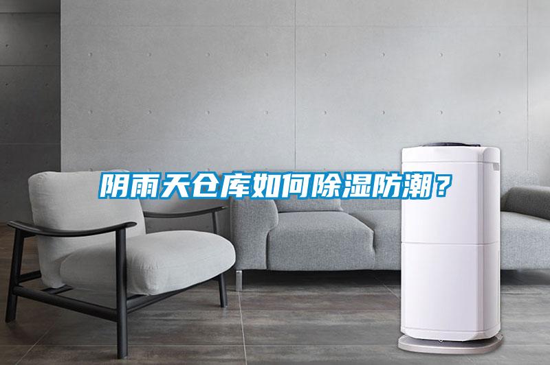 陰雨天倉(cāng)庫(kù)如何除濕防潮？