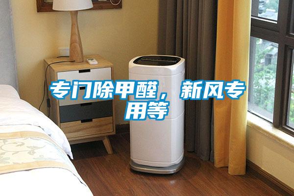 專門除甲醛,新風專用等