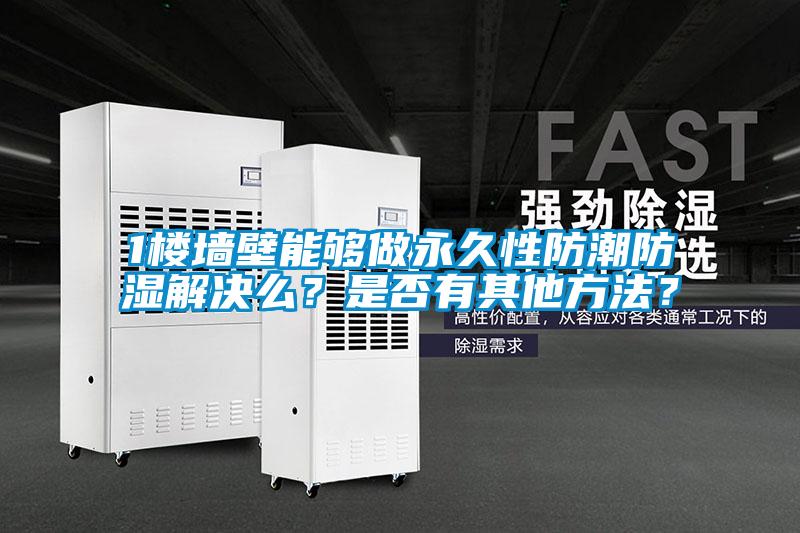 1樓墻壁能夠做永久性防潮防濕解決么？是否有其他方法？