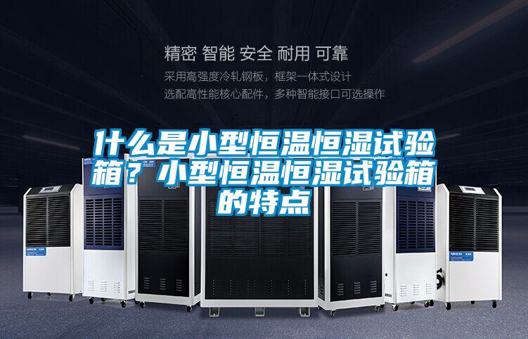 什么是小型恒溫恒濕試驗箱？小型恒溫恒濕試驗箱的特點