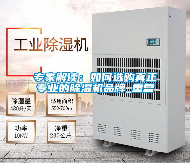 專家解讀:如何選購真正專業的除濕機品牌_重復