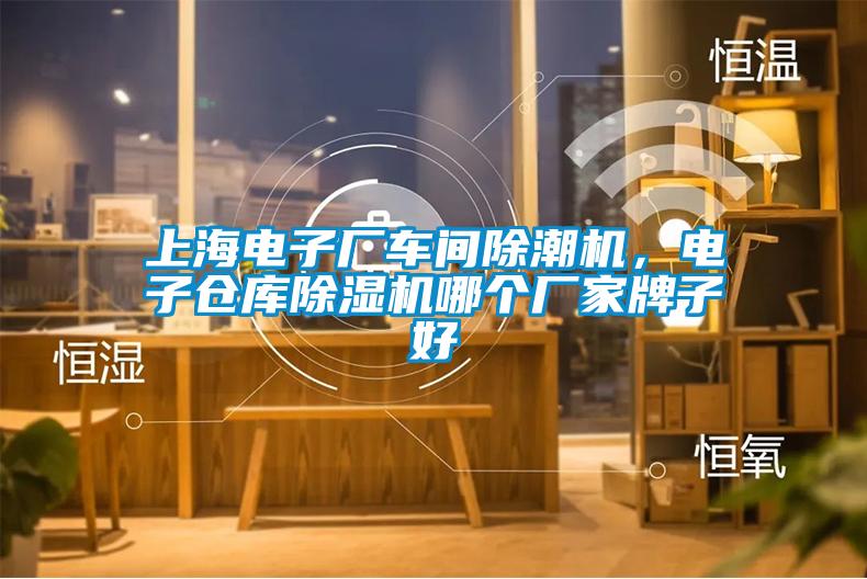 上海電子廠車間除潮機(jī)，電子倉(cāng)庫(kù)除濕機(jī)哪個(gè)廠家牌子好