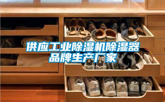 供應工業除濕機除濕器品牌生產廠家