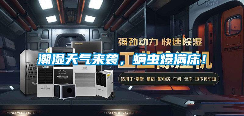 潮濕天氣來襲,螨蟲爆滿床!