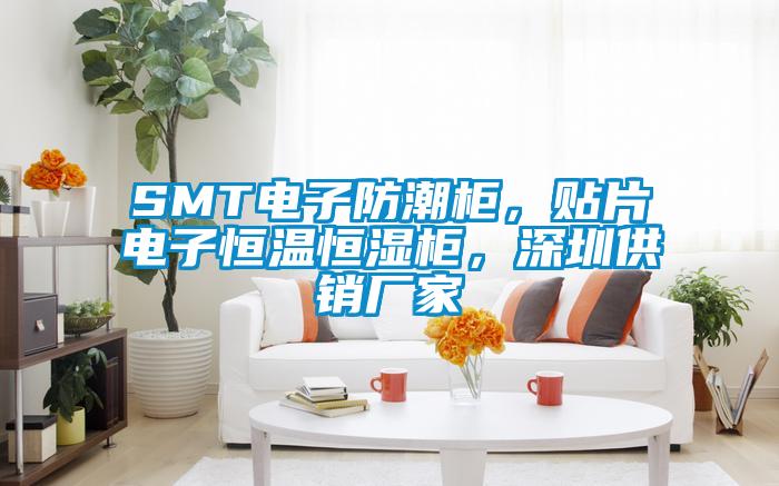 SMT電子防潮柜,貼片電子恒溫恒濕柜,深圳供銷廠家