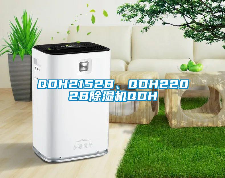 QDH2152B、QDH2202B除濕機QDH