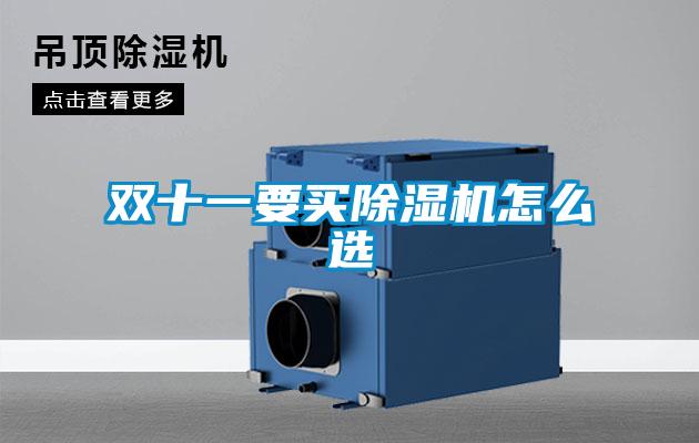 雙十一要買除濕機怎么選
