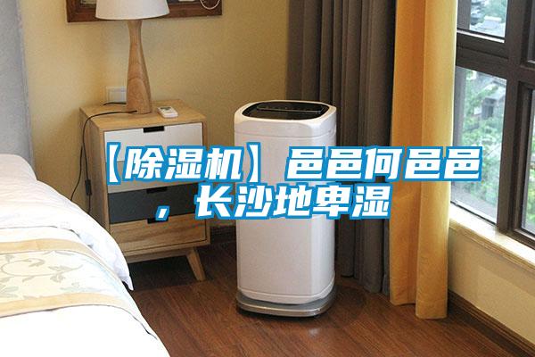 【除濕機】邑邑何邑邑，長沙地卑濕