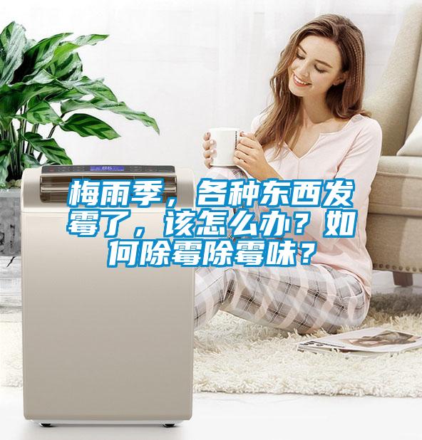 梅雨季，各種東西發霉了，該怎么辦？如何除霉除霉味？