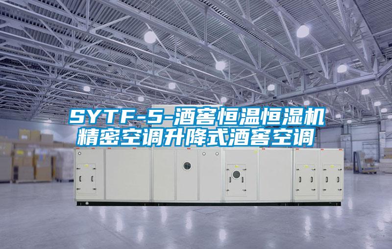 SYTF-5-酒窖恒溫恒濕機精密空調升降式酒窖空調