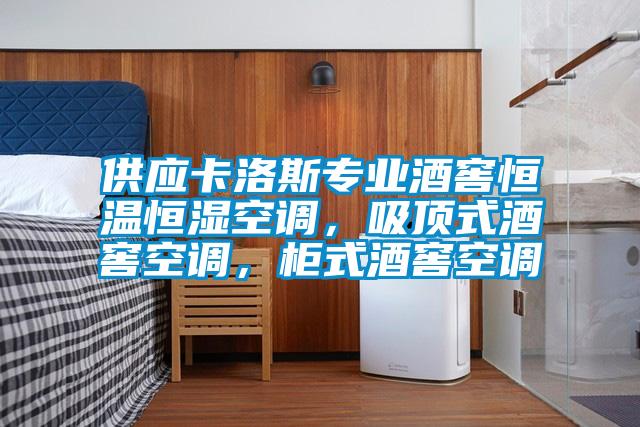 供應卡洛斯專業酒窖恒溫恒濕空調，吸頂式酒窖空調，柜式酒窖空調