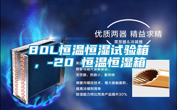 80L恒溫恒濕試驗(yàn)箱，-20℃恒溫恒濕箱