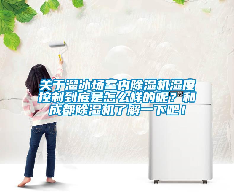 關于溜冰場室內除濕機濕度控制到底是怎么樣的呢？和成都除濕機了解一下吧！