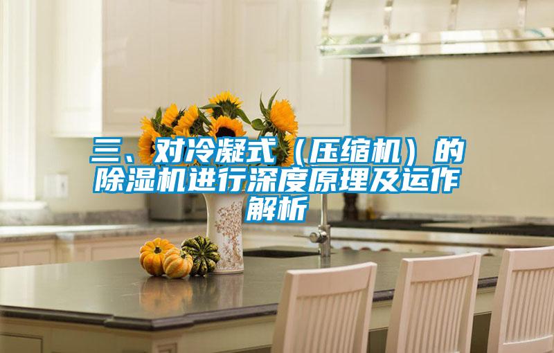 三、對(duì)冷凝式(壓縮機(jī))的除濕機(jī)進(jìn)行深度原理及運(yùn)作解析