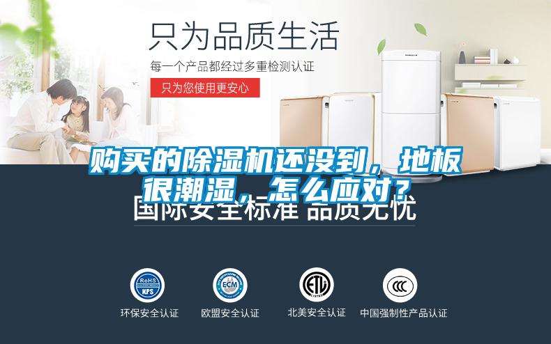 購買的除濕機(jī)還沒到，地板很潮濕，怎么應(yīng)對(duì)？