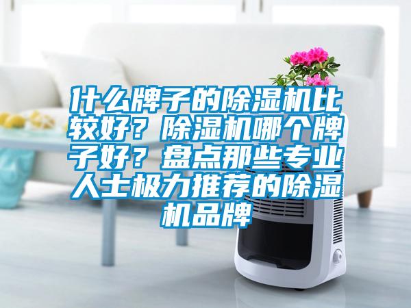 什么牌子的除濕機比較好？除濕機哪個牌子好？盤點那些專業人士極力推薦的除濕機品牌