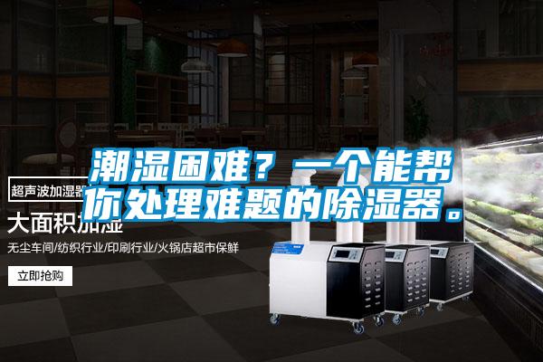 潮濕困難?一個(gè)能幫你處理難題的除濕器。