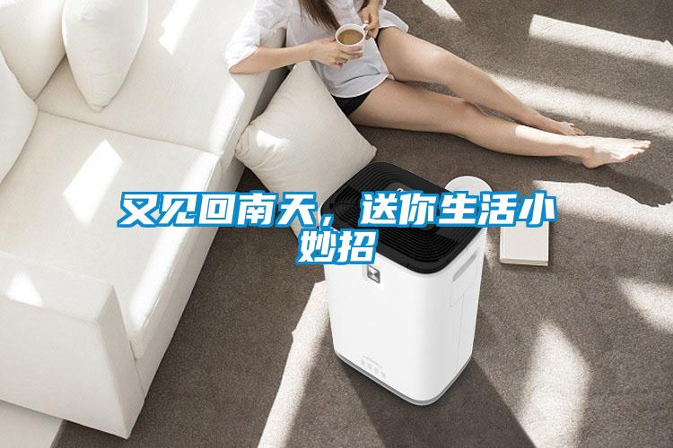 又見(jiàn)回南天,送你生活小妙招