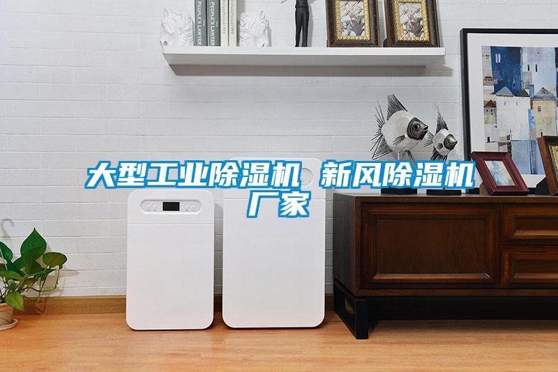 大型工業除濕機 新風除濕機廠家
