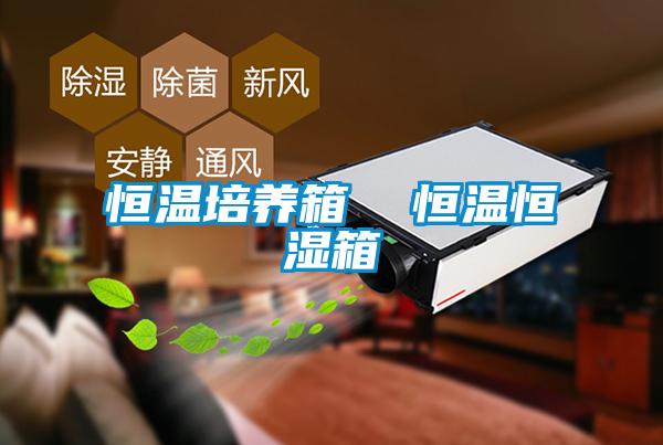 恒溫培養箱  恒溫恒濕箱