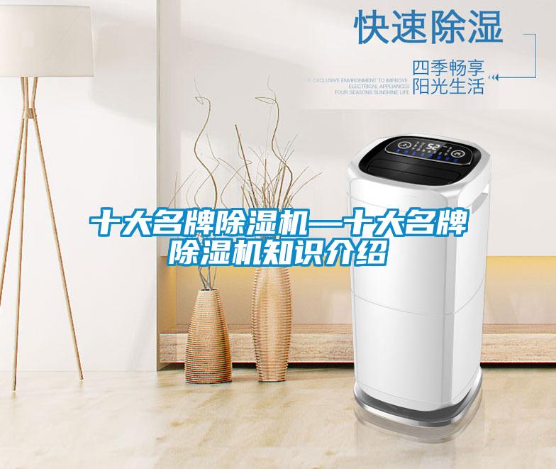 十大名牌除濕機(jī)—十大名牌除濕機(jī)知識介紹