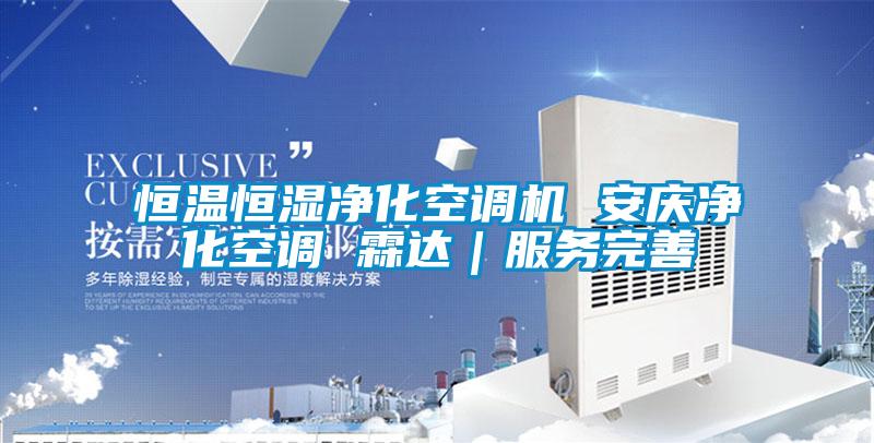 恒溫恒濕凈化空調機 安慶凈化空調 霖達|服務完善