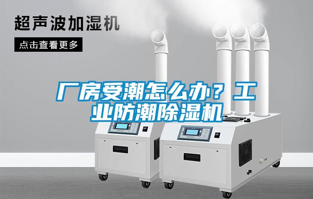 廠房受潮怎么辦？工業防潮除濕機