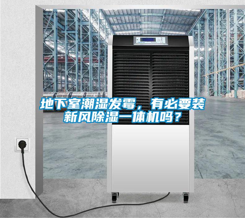 地下室潮濕發霉,有必要裝新風除濕一體機嗎?